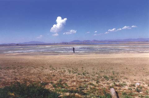Estado actual del lecho salitroso del antiguo lago de Texcoco.