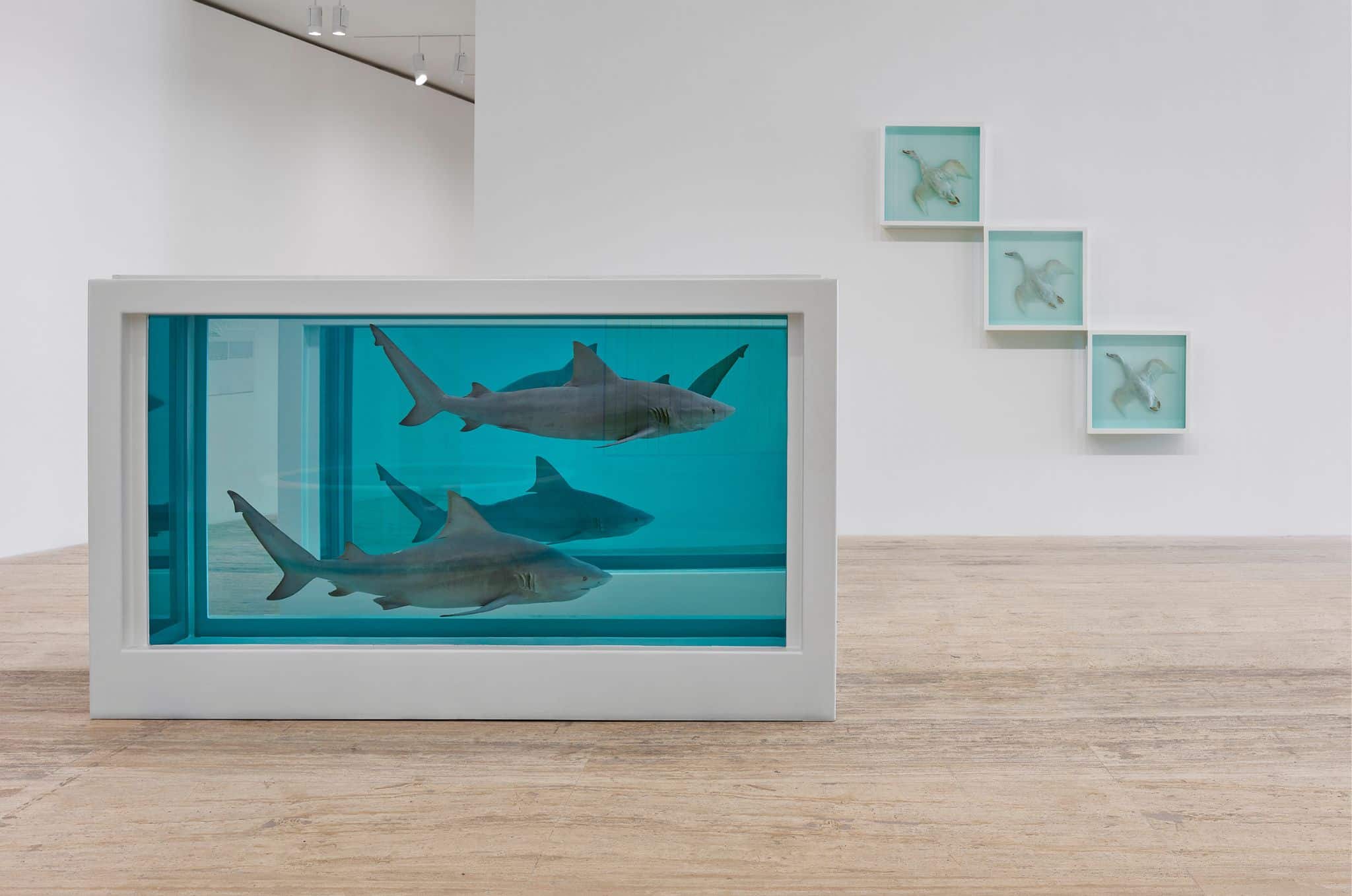 Damien Hirst: el espectáculo, el arte, el presente mediático