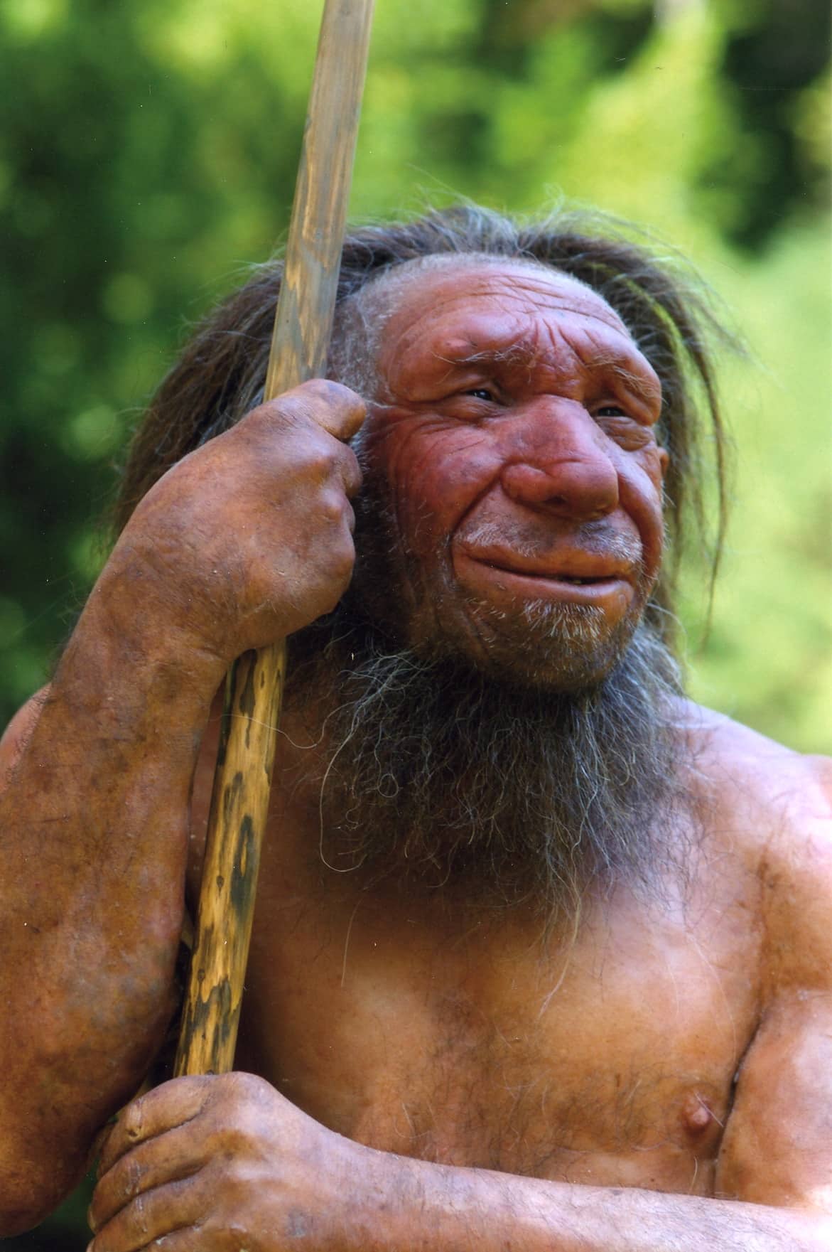 Contra el culto neandertal | Letras Libres